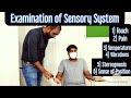 Cns  examination of sensory system upper limb englishhindi mbbs next neetpg