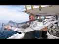 Barracuda Catch and Cook (Amazing Results) - Spearfishing the Outer Banks