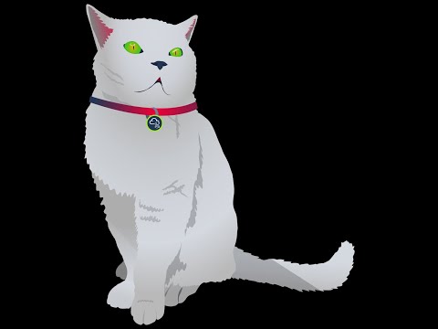Cat Pictures 2