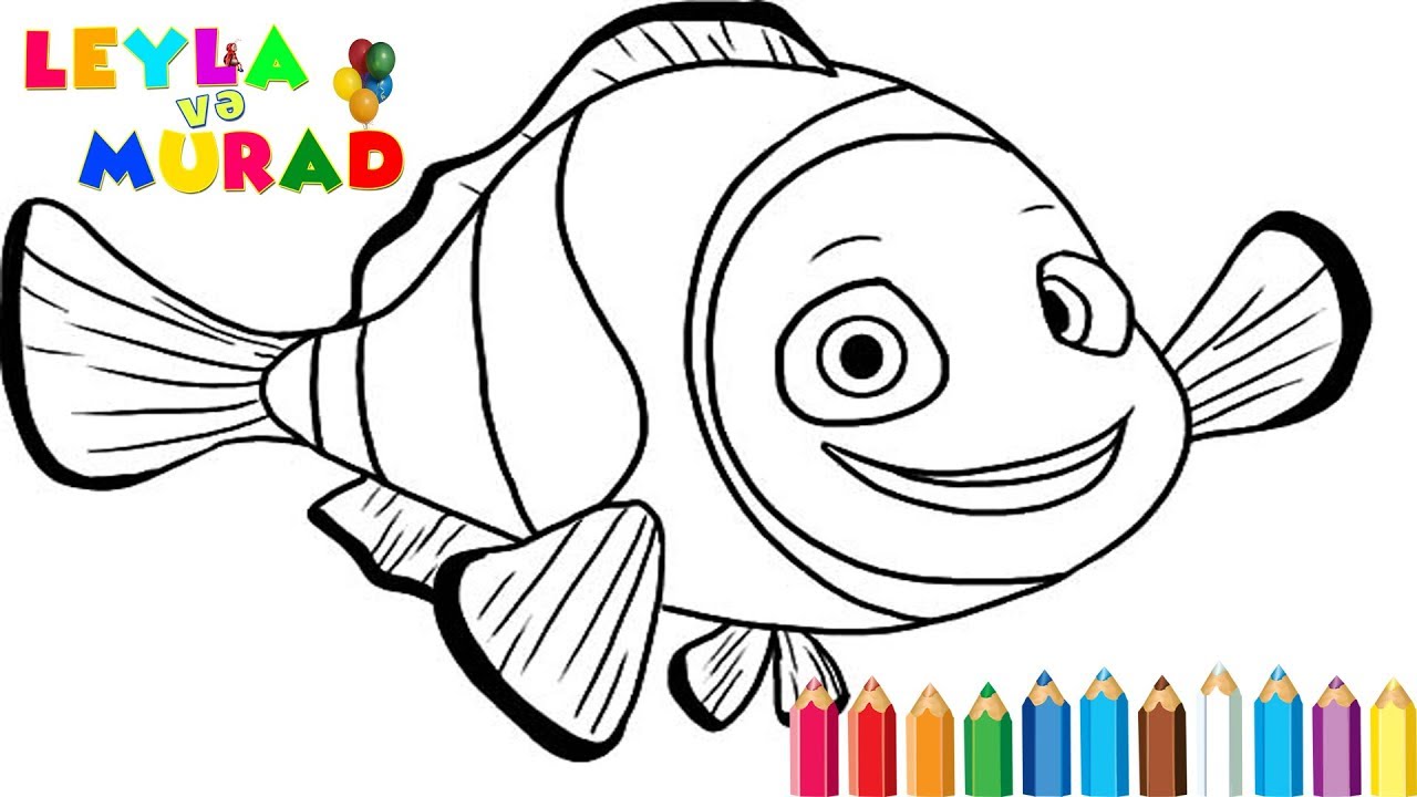 z-n-r-ngl-bal-q-coloring-fish-youtube