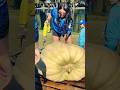 This boy made a pumpkin boat and won 😀 #trending #shortvideo #viral #shorts