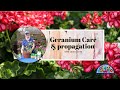 Propagate and care for your Geranium like the pros!
