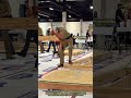 Framing Hack That Saves Minutes on Every Stud (Insane Speed!)
