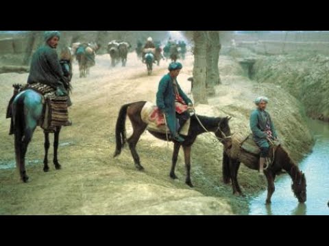 Ustad Qurban Old Dombra 