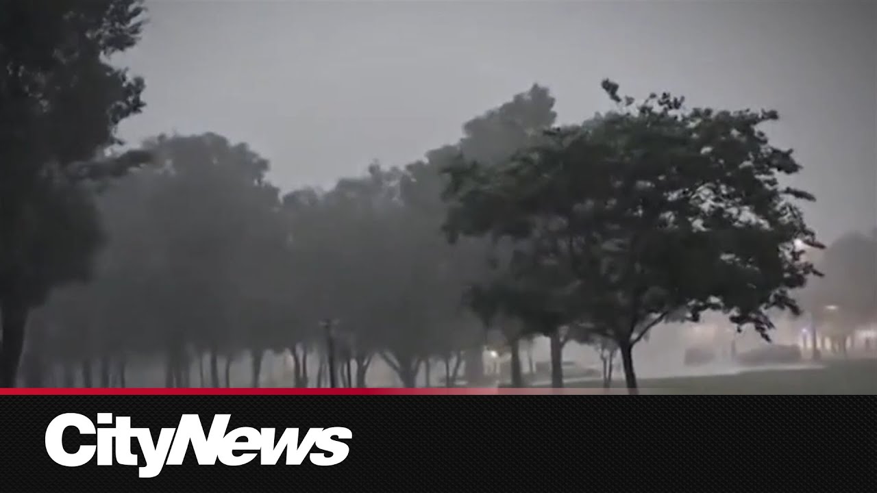 Gulf coast braces for Francine - YouTube