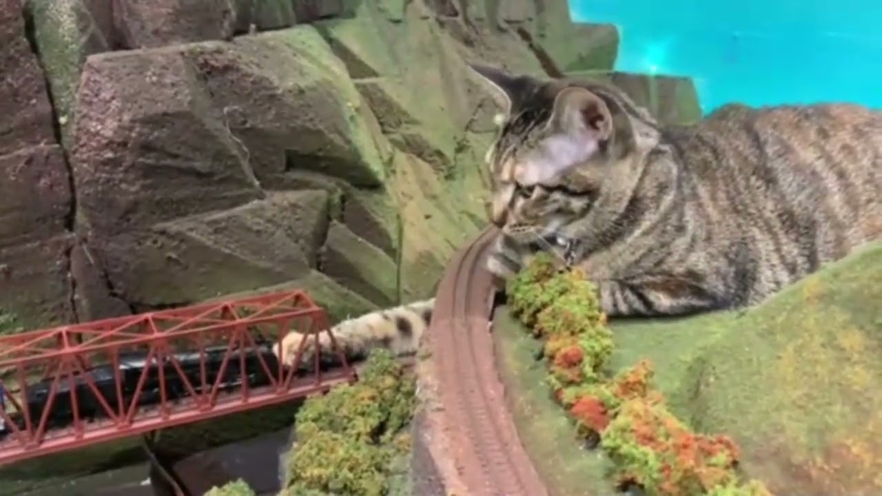 Cat automatic train control system.