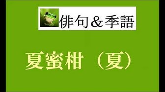 俳句 Youtube