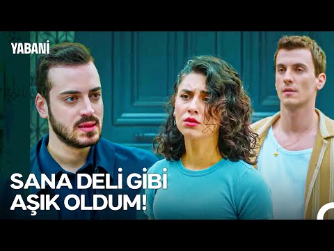 Tolga'dan Asi'ye İlan-ı Aşk! - Yabani