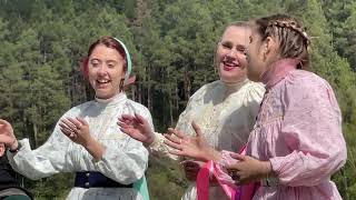 картинка: Георгиевские шермиции. Ансамбль 