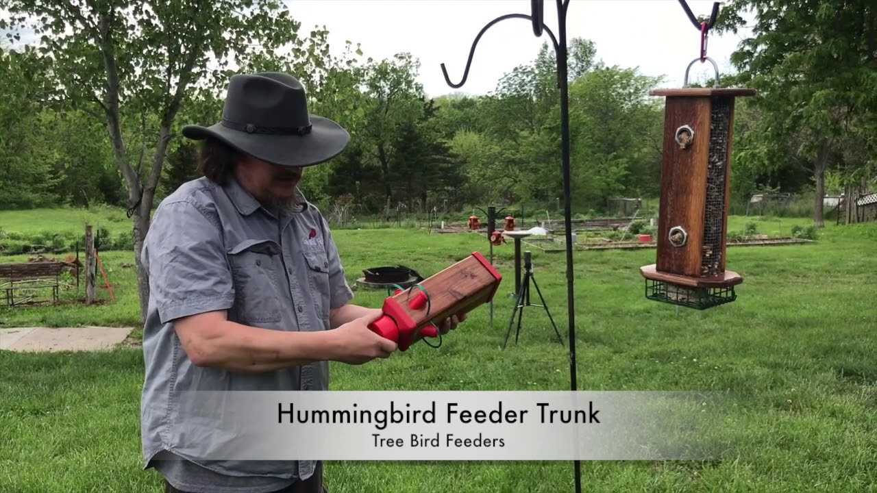 Hummingbird Feeder Trunk - YouTube