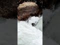 Алибекский водопад #shorts #tiktok #short
