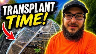 James And The Giant Pumpkin First Spring 2026 Update! Transplant time!