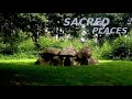 Devas (Angels) and the Co-Creation of Sacred Space, Lecture 2 with Kurt Leland.