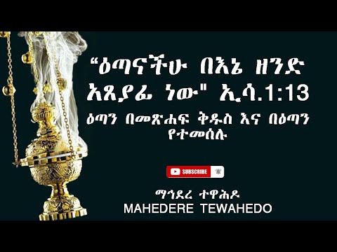 ቪዲዮ: የወይን ፍሬዎችን መከርከም - በአሮጌ ወይም በወጣት ቁጥቋጦ ላይ በልግ ፣ በፀደይ እና በበጋ ችግኞችን እንዴት በትክክል መከርከም? ጊዜን ፣ ጥቁርን በአረንጓዴ እና በሌሎች መንገዶች መከርከም