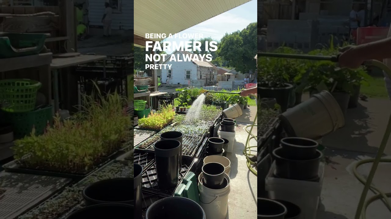 No matter the chaos of life, start seeds on time!!! Comment CALENDAR or head to