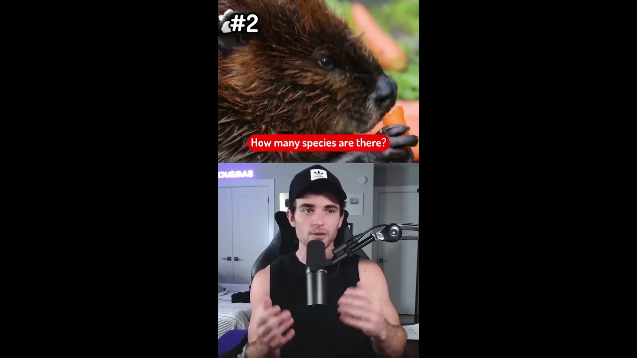 Questions Science Can T Explain