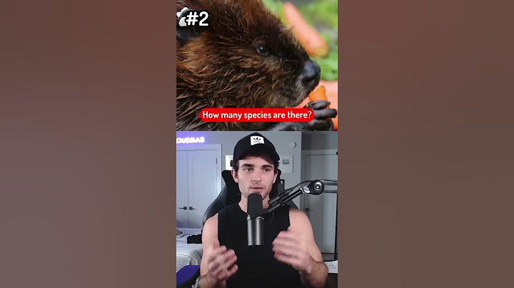Questions Science Can't Explain
