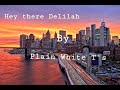 Hey there Delilah ~ Plain White T&#39;s (lyrics)