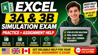 Excel 3A and 3B Simulation Exam | excel 3A and 3B Simulation Exam | 3A and 3B Simulation Exam screenshot 2
