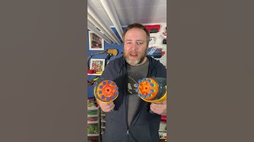 Just nerding out while dual wielding my thrifted Nerf Dart Tag Speedswarms from 2011!
