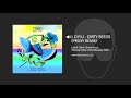 L D R U - Dirty Seeds (Proxy Remix)