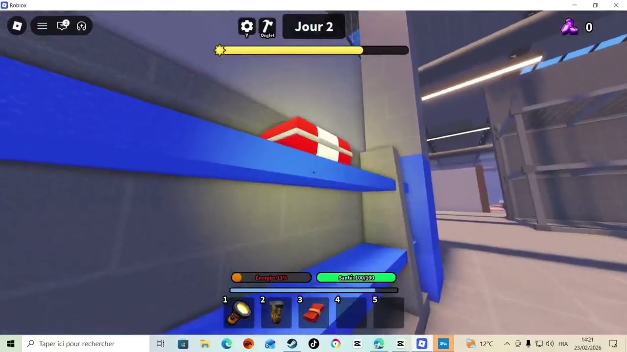 je joue tout  seul à roblox