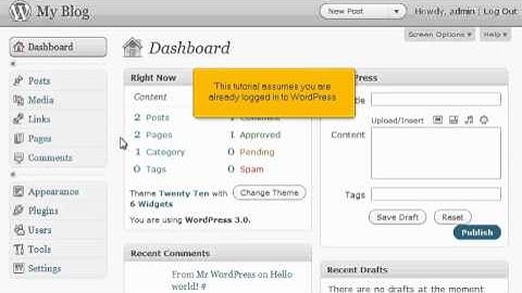 How to write a comment in WordPress