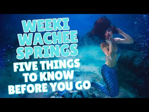 Weeki Wachee Springs:
