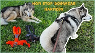 Non Stop dogwear harness | best harness for snow dogs?