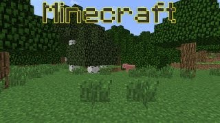 Minecraft Epic Survival - Episode 2: Creeper *sadface*