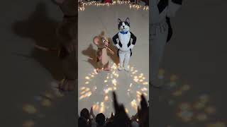 Cat and mouse dancing video ❤️❤️❤️#catshorts #cuteanimal #petlover #animallife #ytshorts #mouse