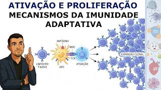 Ativação e Proliferação de Linfócitos T | Imunologia e Imunopatologia