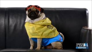 happy dog samedi 14 juin 17h20 M6 5 6 2014 b