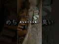寝る前にコレは流石に鬱になる…