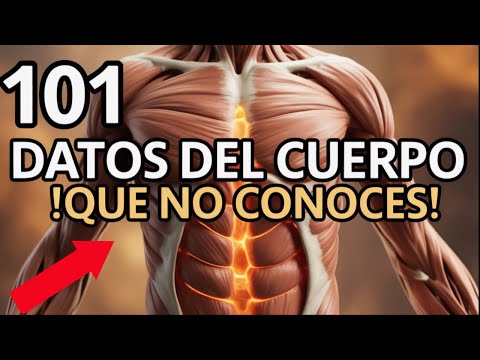 101 COSAS sobre TU CUERPO que NO Conoces