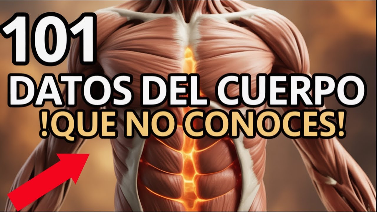 101 COSAS sobre TU CUERPO que NO Conoces