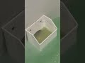 【人気で売り切れ】バズった洗剤がすごすぎた!