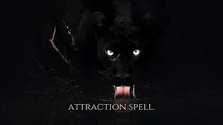 ╭ BLACK CAT ENERGY: HAVE THEM CHASE YOU ✩ SPELL ╮