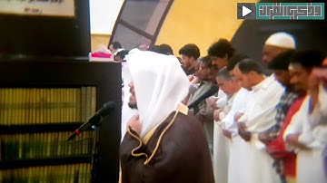 نَارٌ حَامِيَةٌ | القارئ د.ياسر الدوسري - سورتي الزلزلة والقارعة