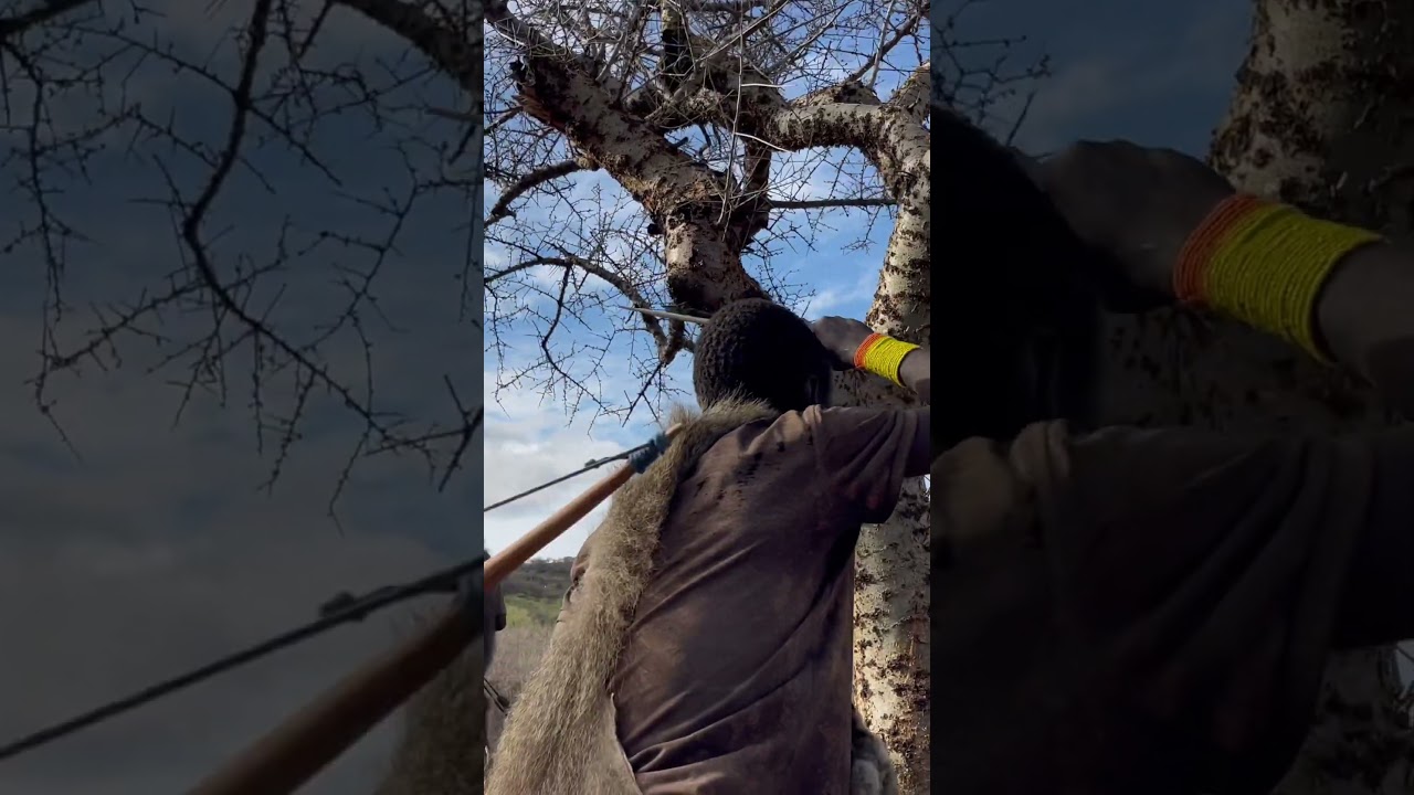 Hunting in jungle with hadzabe 