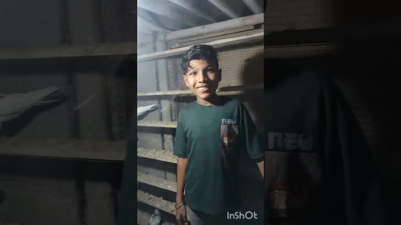 Pappu bhai pegions shokh