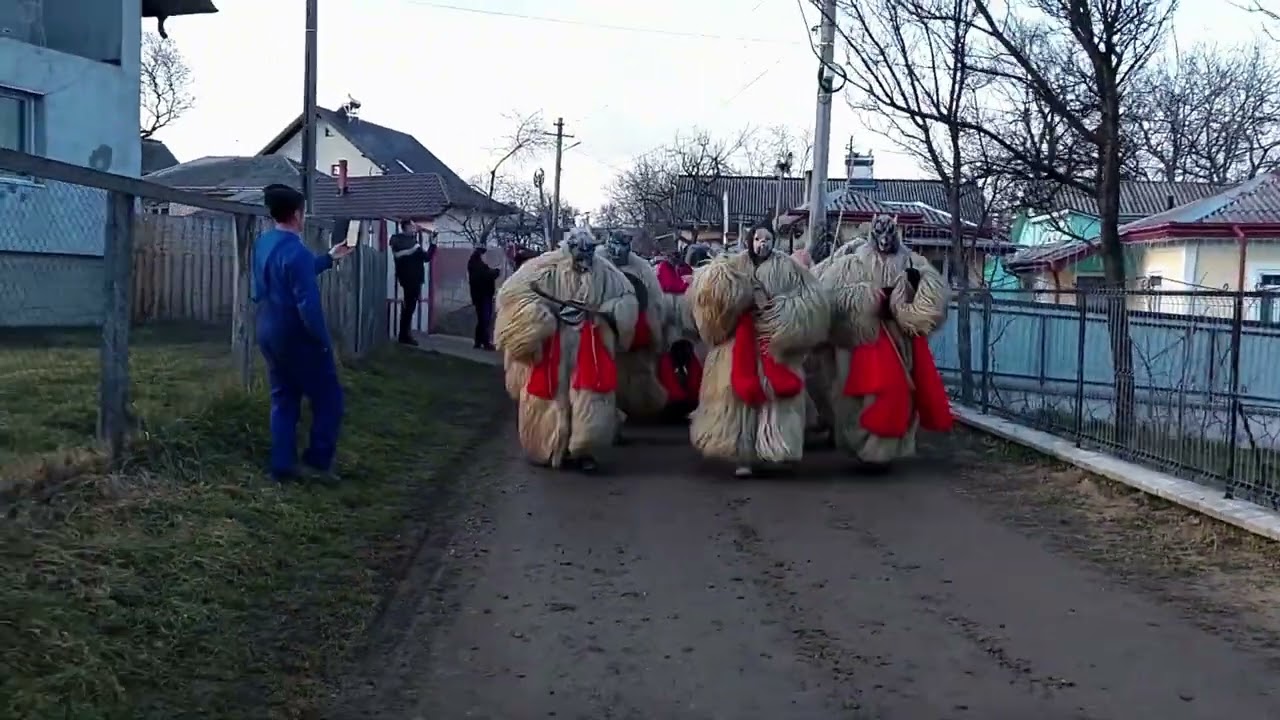 Urșii din Rotunda✨❤️(31.12.2023)