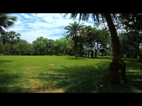 Explore Bangladeshi Beautiful Village | Daily Village Life | Jamalpur, Kaliganj, Gazipur