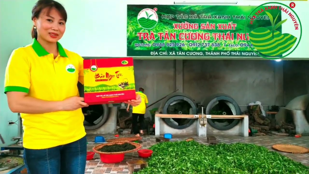 Giá trà tôm nõn Thái Nguyên có thay đổi theo mùa Phân tích chi tiết 2024