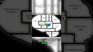 Apakah orang yang jago musik itu pintar??? #ferryirwandi #malakaproject #music #malaka