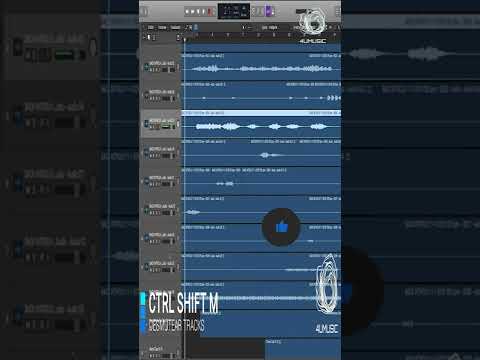SOLO Y MUTE