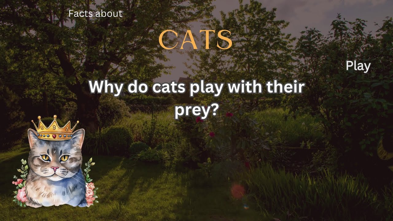 Cat Fact 23 - Why do cats play with their prey? - YouTube - Why Cats Play With Dead Pests