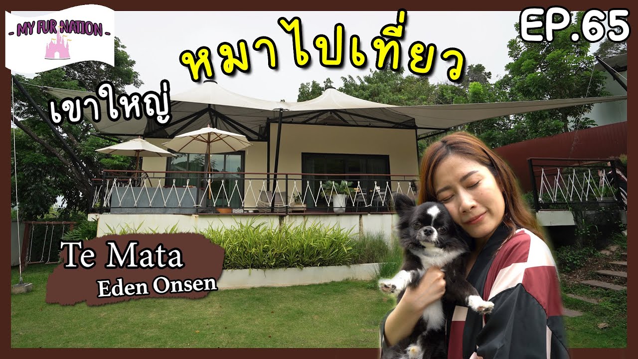 EP.65 - หมาไปเที่ยว | Te Mata Eden Onsen เขาใหญ่ Glamping มีบ่อแช่ออนเซ็น พาหมาแมวไปกี่ตัวก็ฟรี!