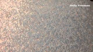 Daily Freeman Update By Tania Barricklo - April 16, 2014