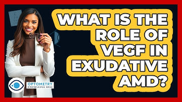 What Is The Role Of VEGF In Exudative AMD?